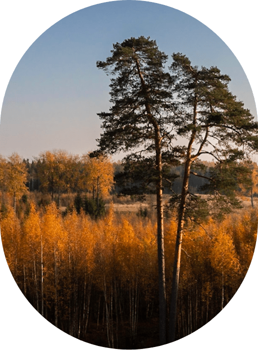JS__4978-Pano